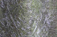 Lynsted fibreglass roof work